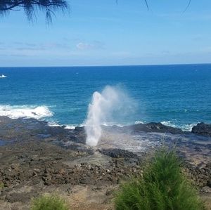 Meet your Posher, Ruth